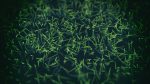 20161122—brownian-fireflies